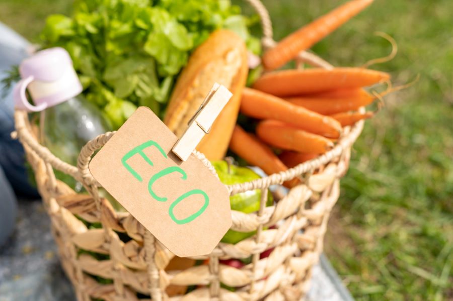 organic food