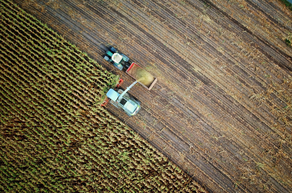 dubai agriculture
