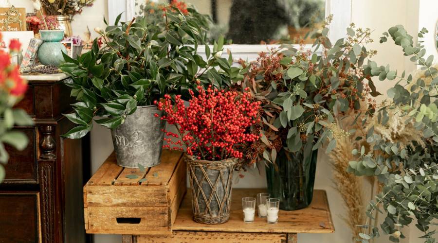flowers displays